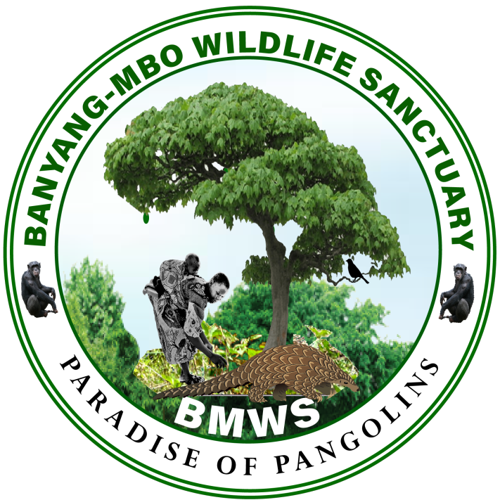 Bayang Mbo%20Wildlife%20Sanctuary